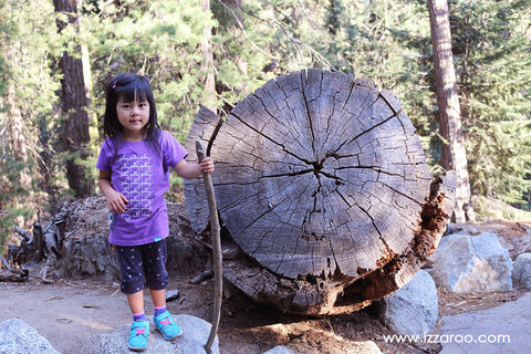 Sequoia National Park with Kids