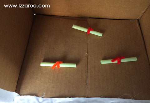 IZZAROO - DIY Space Shuttle Halloween Costume